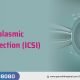 Need to Know About Intracytoplasmic Sperm Injection (ICSI)